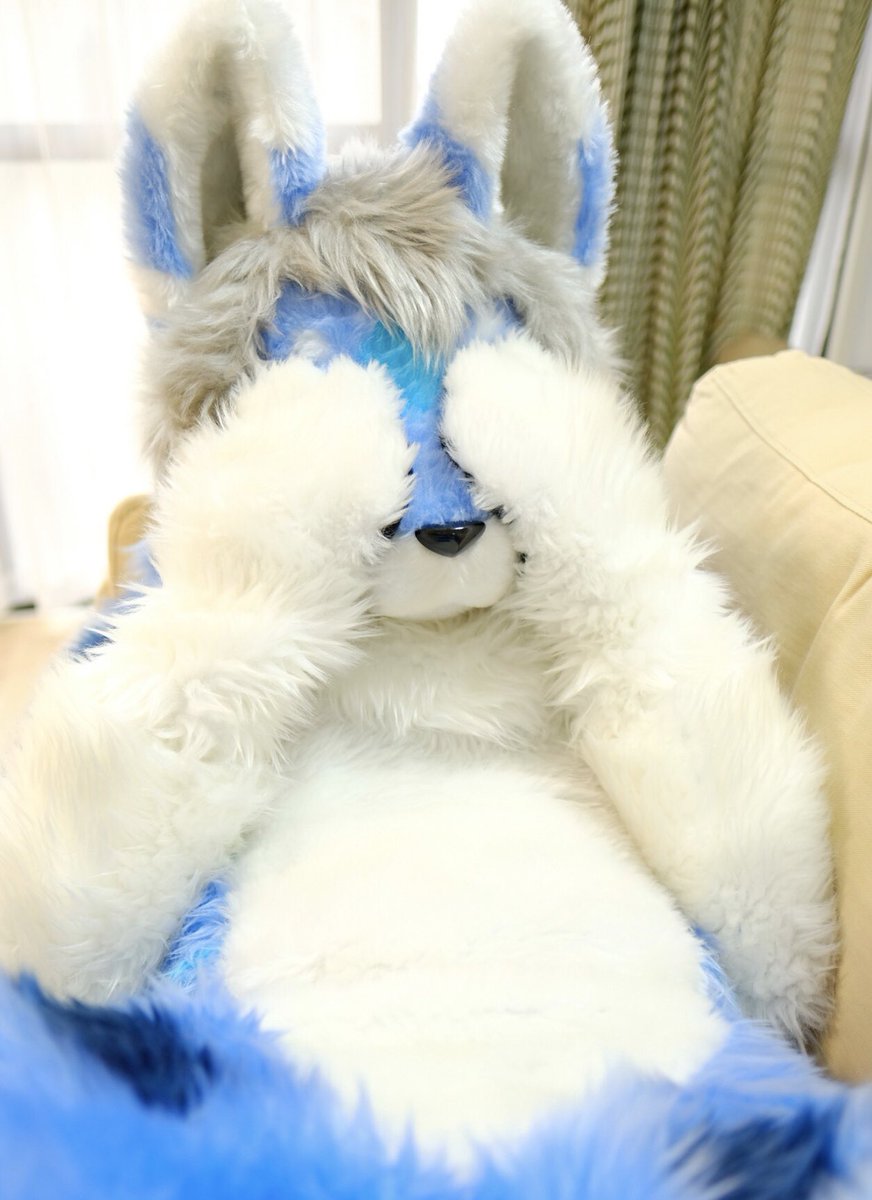 ルビエル tweet media