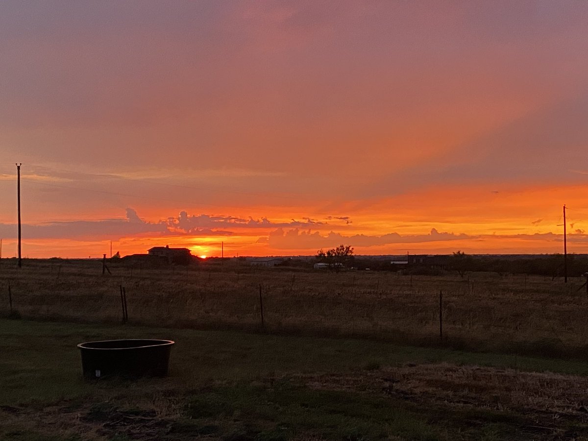 Eric Bricker, MD tweet media