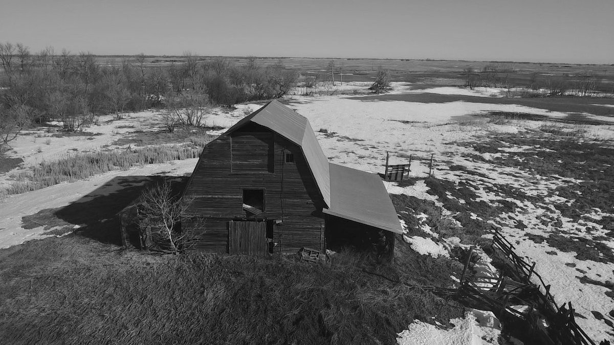 Dylan Bertholet tweet media