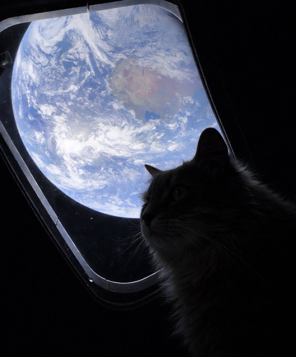 Jake W 🐑 tweet media