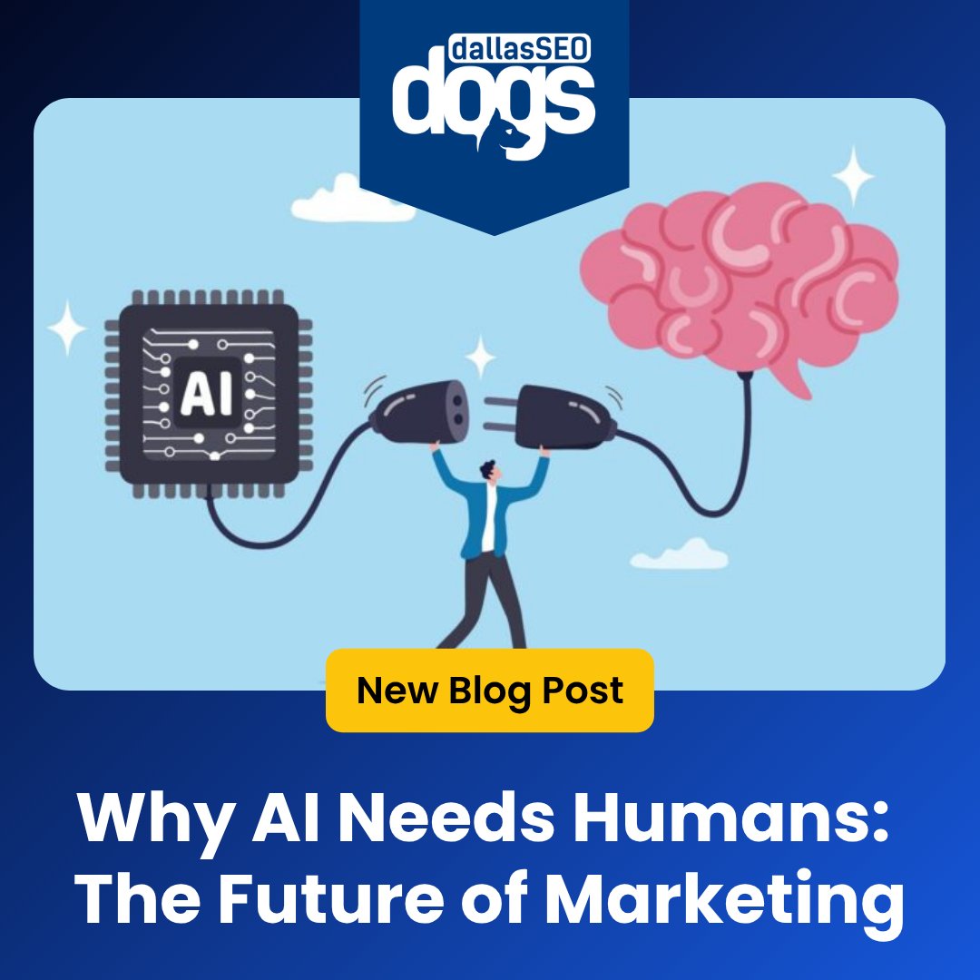 Dallas SEO Dogs tweet media