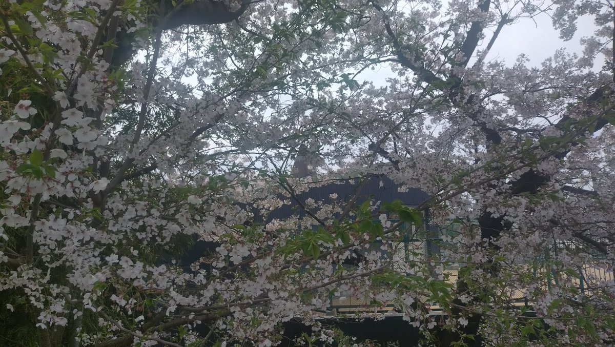 すこみ tweet media