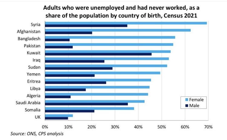 GeedZero tweet media