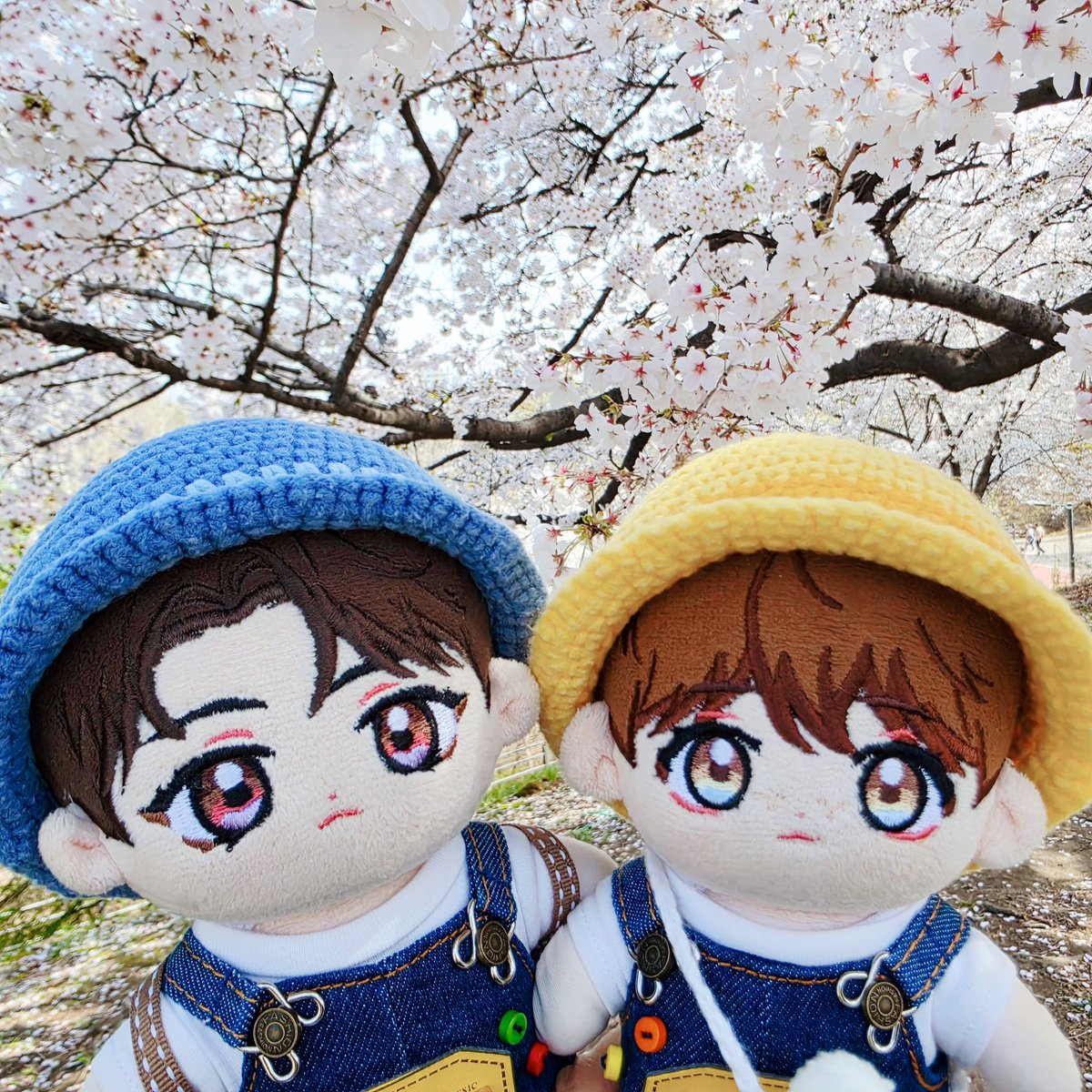 🏈아네트(๑•̀.•́๑)🍊 tweet media