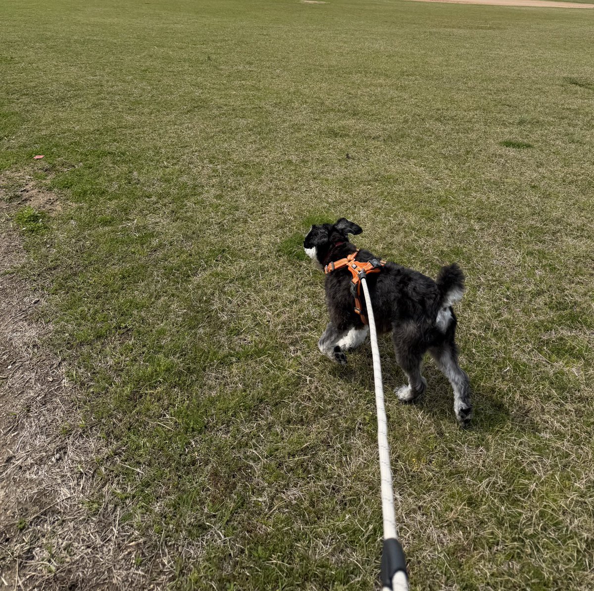 omari💚🍄🐉 tweet media