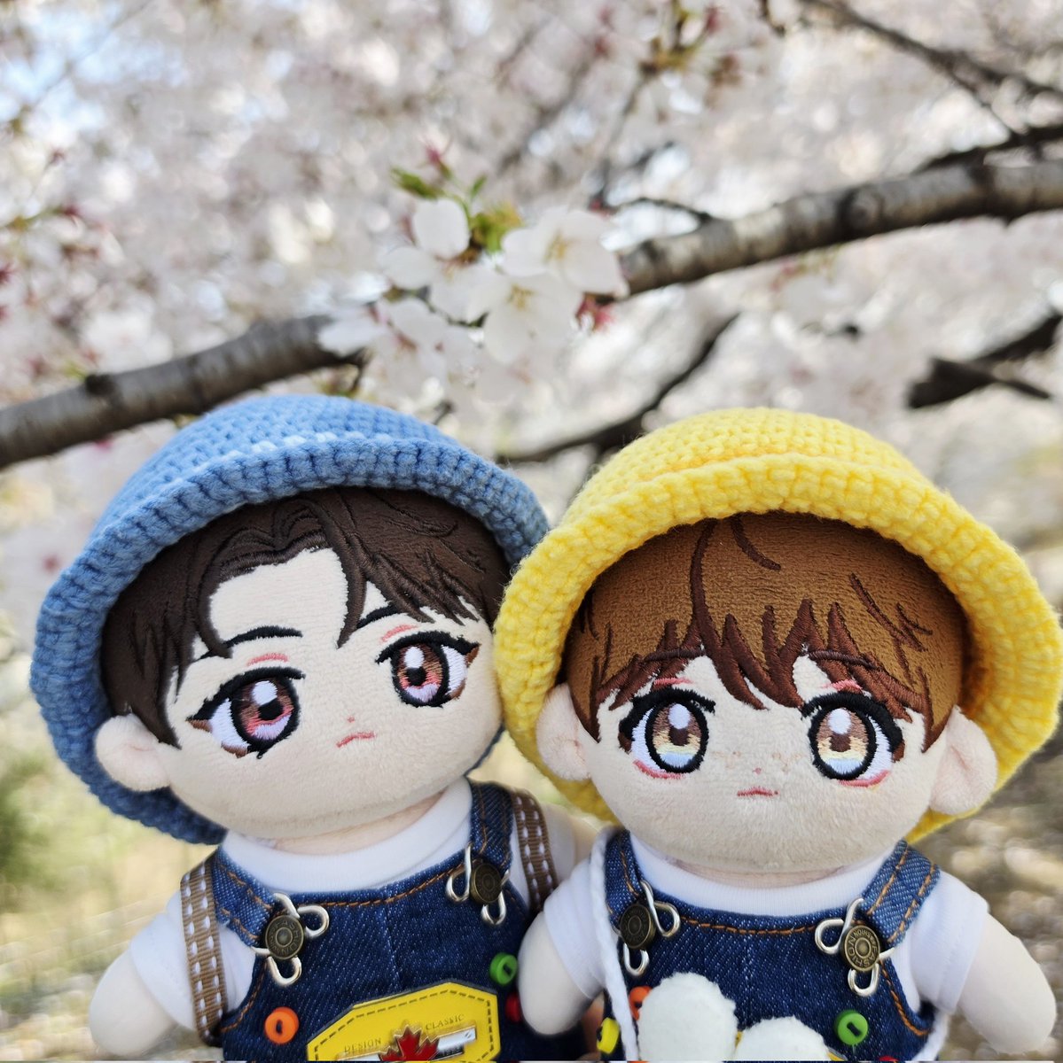 🏈아네트(๑•̀.•́๑)🍊 tweet media