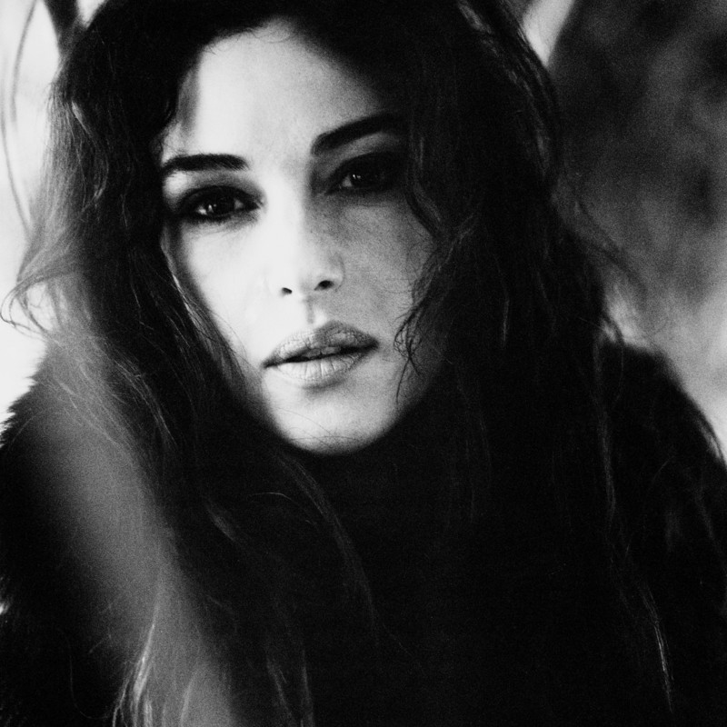 monica bellucci source tweet media