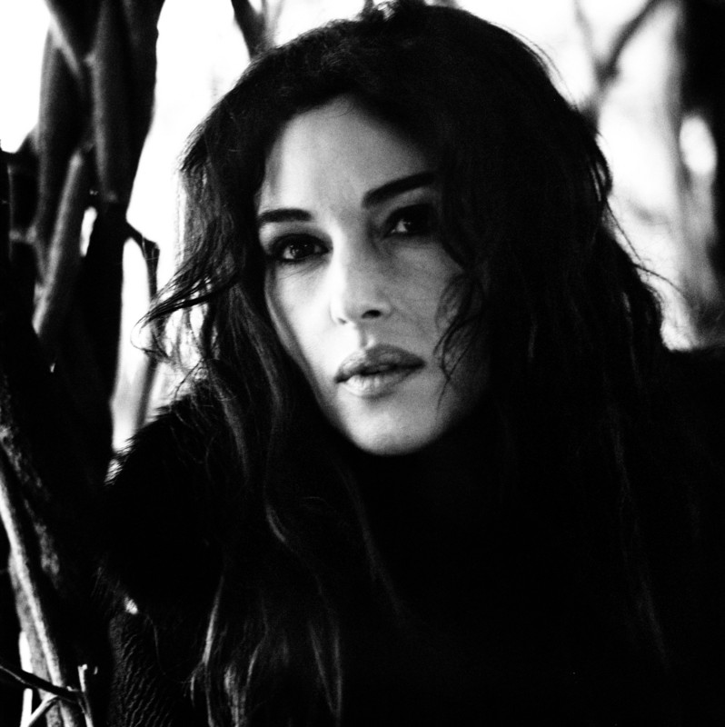 monica bellucci source tweet media
