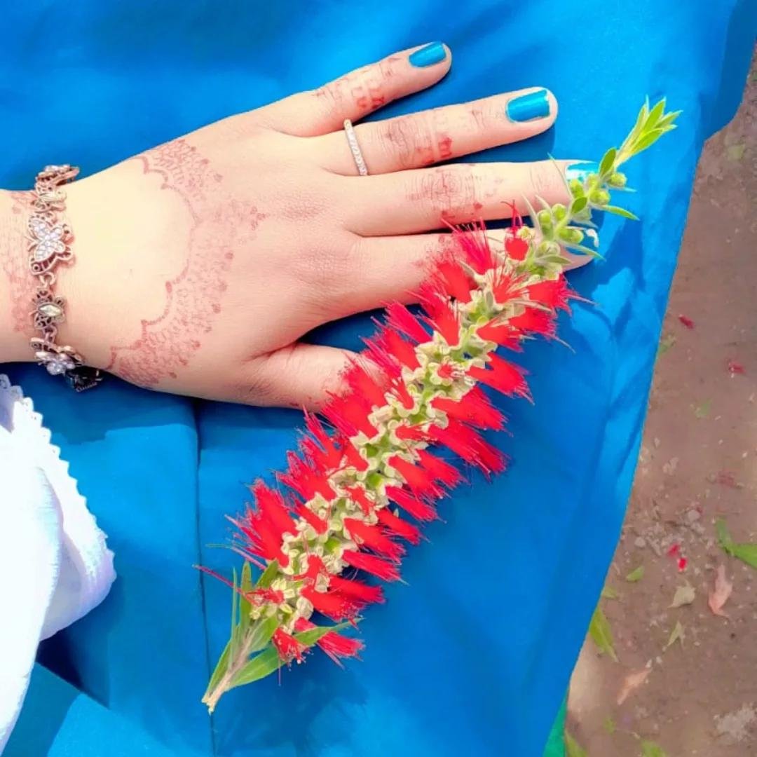 Bestie-# tweet media