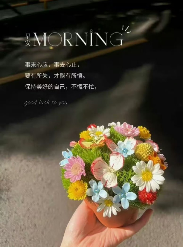 青青子衿（互fo互赞 有关必回 定期清理 因受限慢慢回关，稍安勿躁，请谅解。漏关请私信！） tweet media