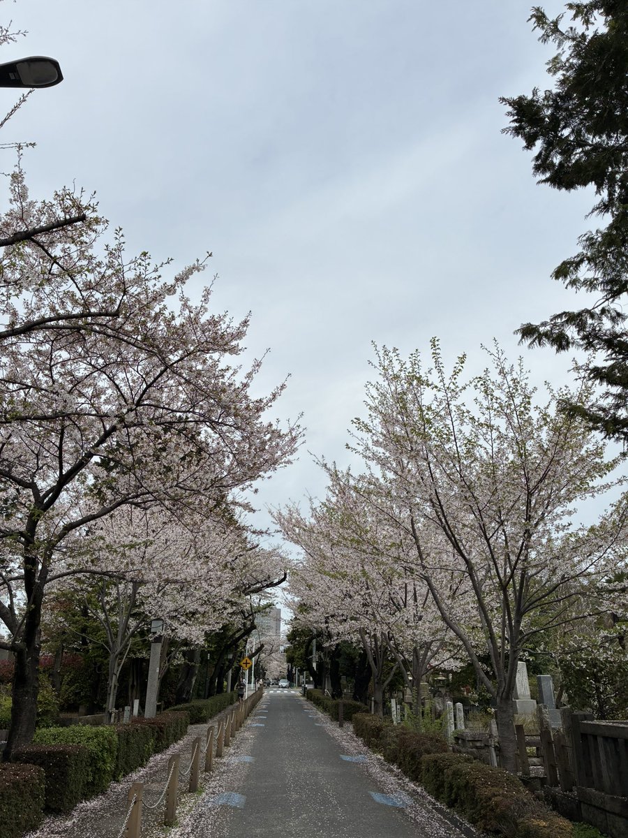 hide@マンション管理士見習い🇺🇦 tweet media