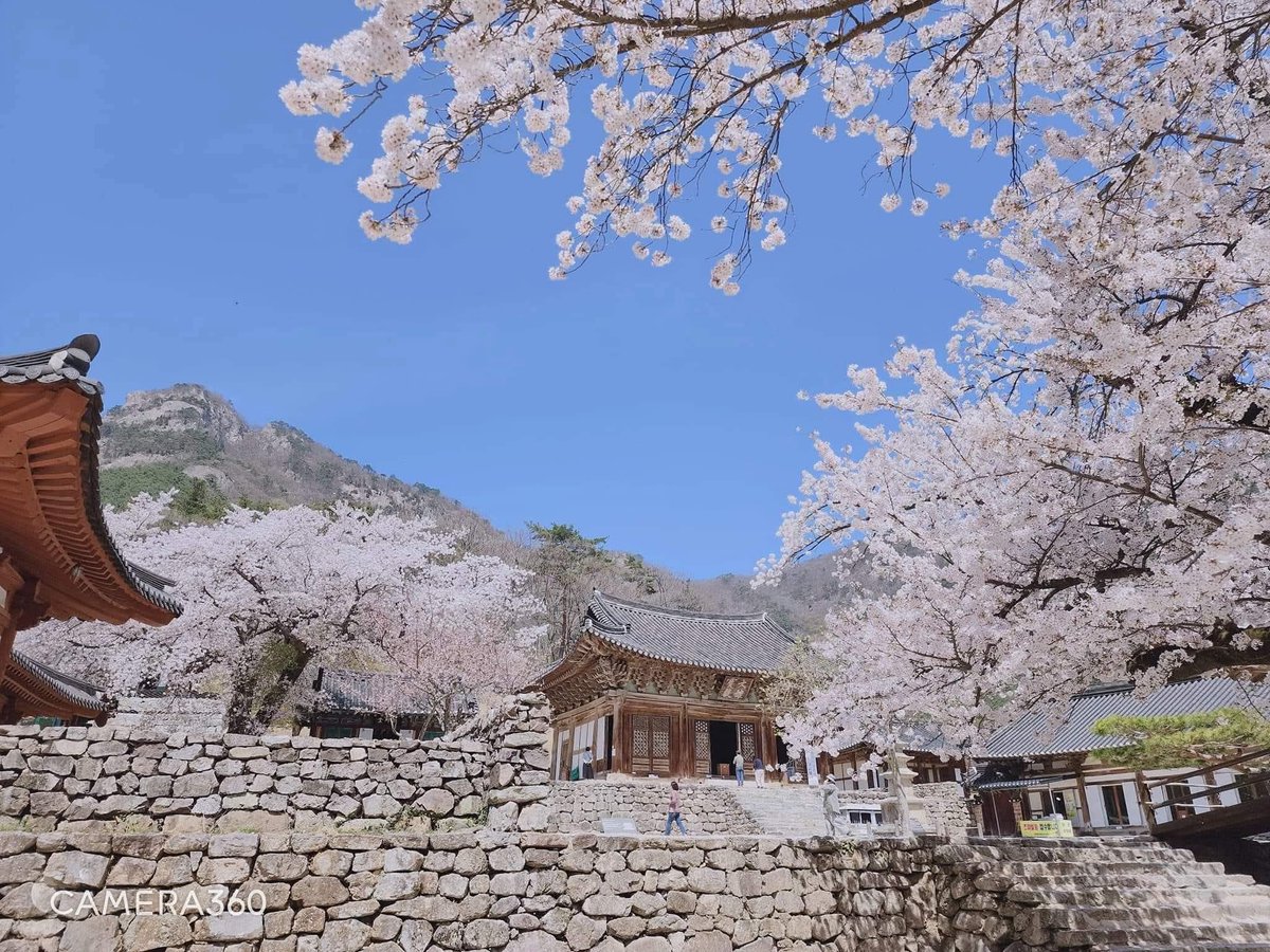 작은악마 tweet media