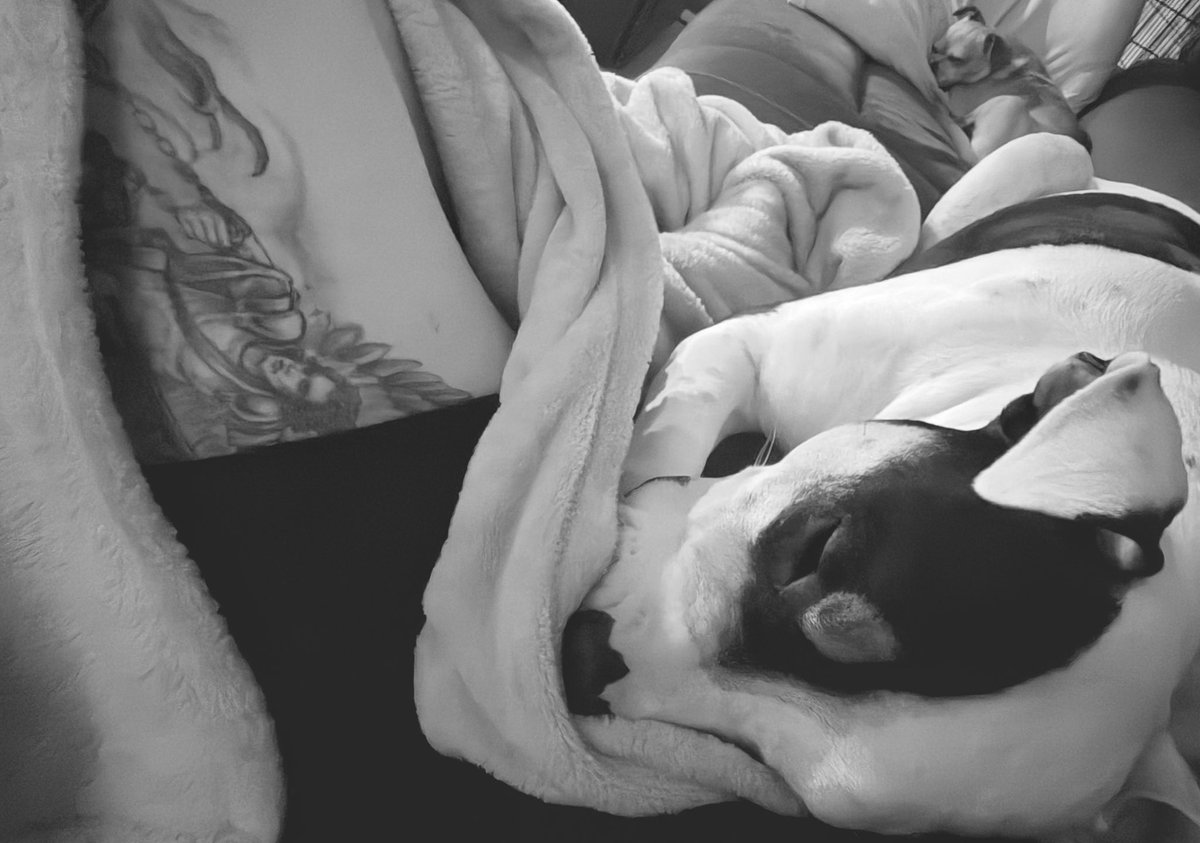 Winter 🇺🇸❤️🤍💙 tweet media