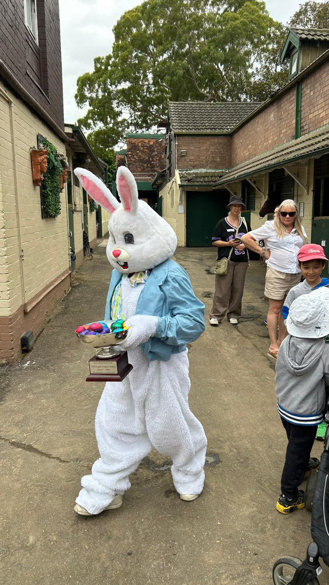 Gai Waterhouse AO tweet media