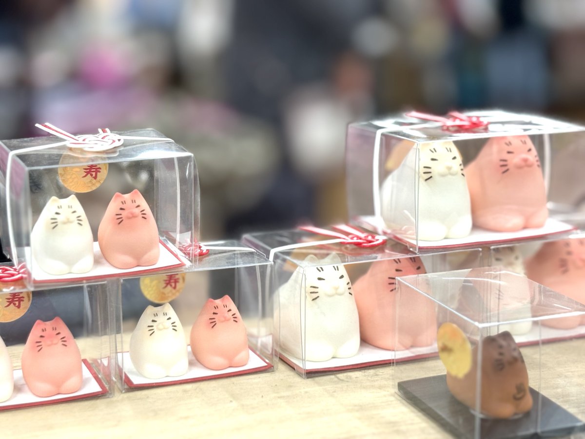 #ニャンフェス

始まりました！
