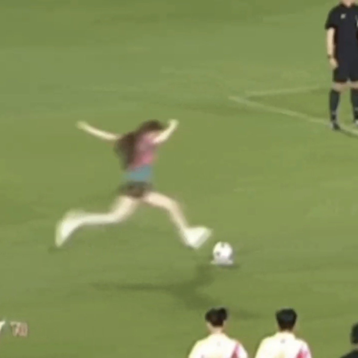 코끼리 (ช้าง) 차앙 tweet media