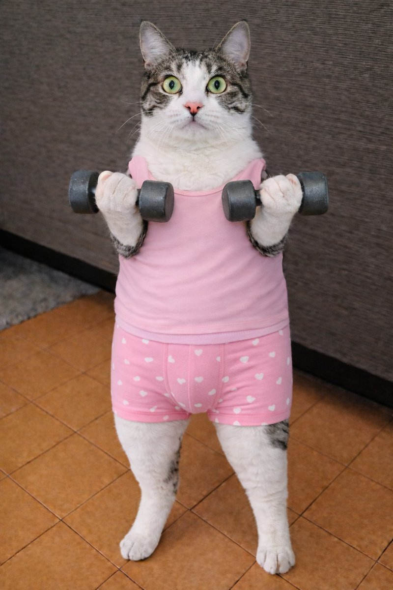 白ご飯をパクっとのりたま😎🫰✨ tweet media