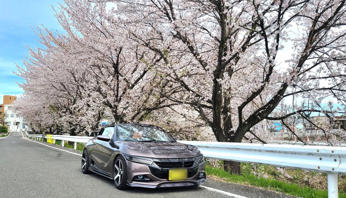 S660gomu tweet media