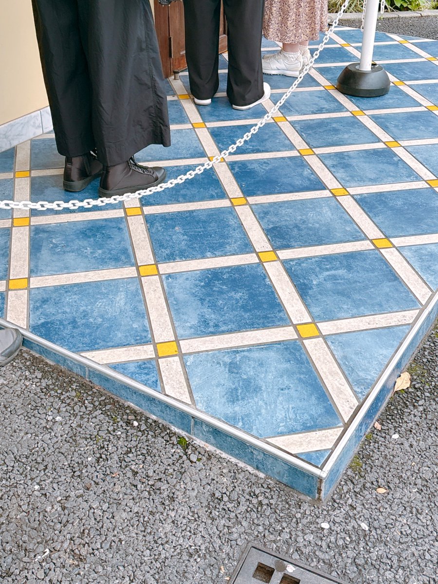 金の子🍄 tweet media