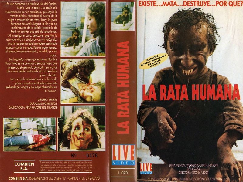 RaroVHS 📼 tweet media