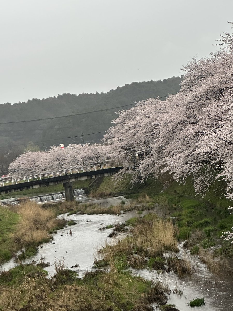 takumi.ミゼット tweet media