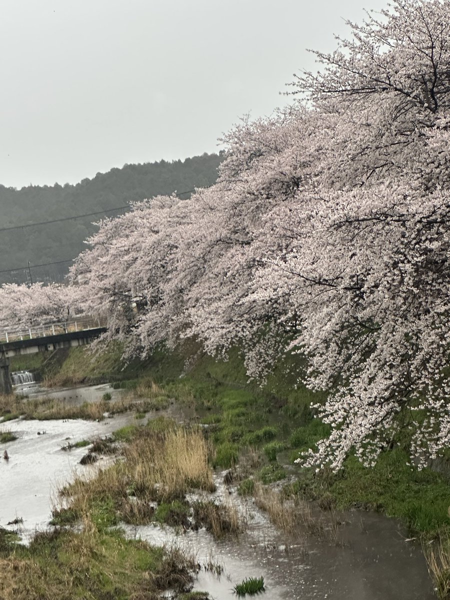 takumi.ミゼット tweet media