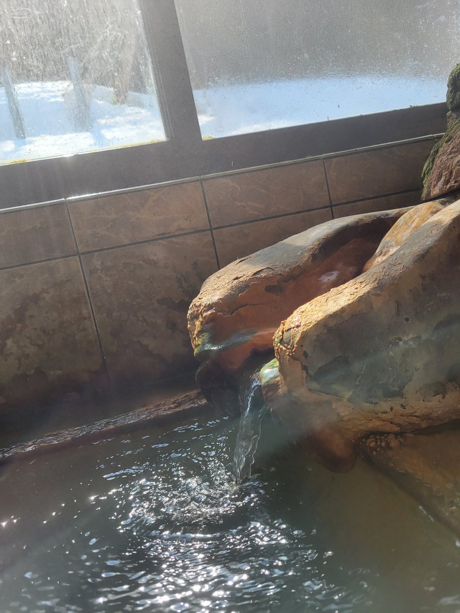 ゆうゆ🎗️ tweet media