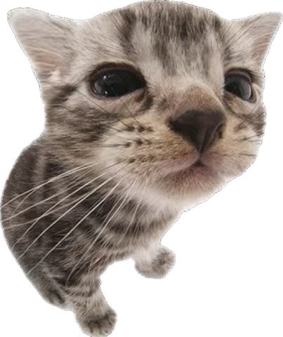 Reg 🤍 tweet media