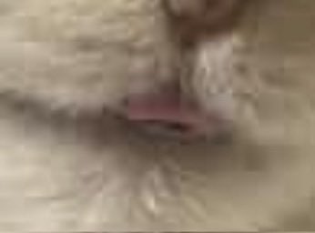 ✨💣 alix 💣✨ tweet media