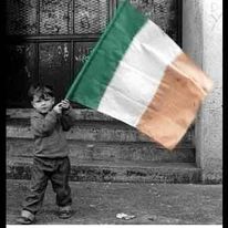 mark h alexander tweet media