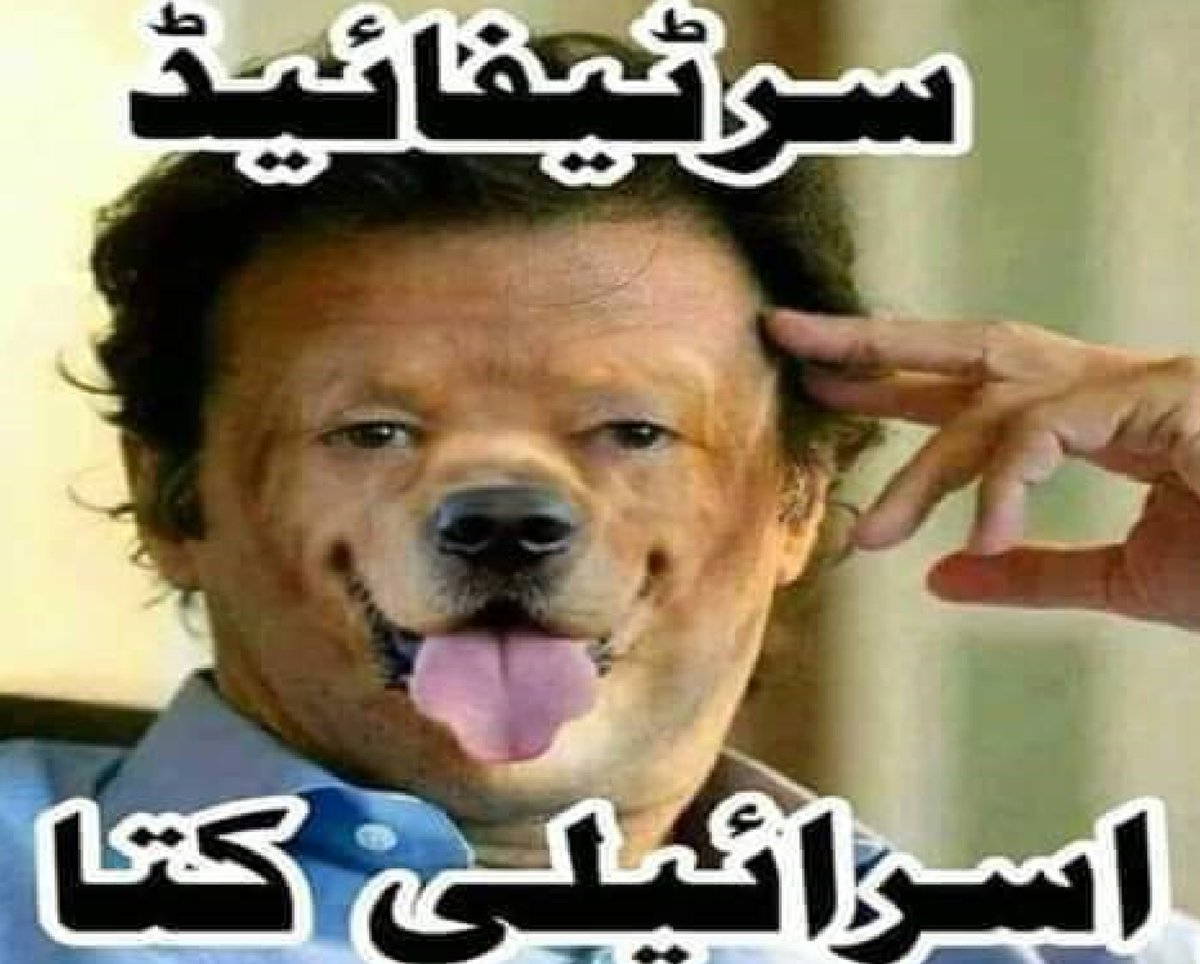 Qaiser Uppal tweet media
