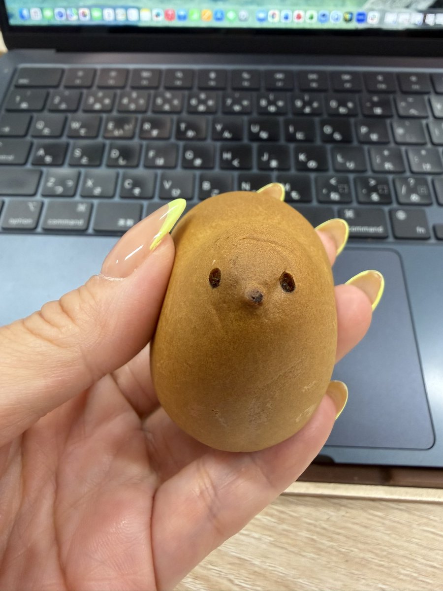 そんな目でみないで！