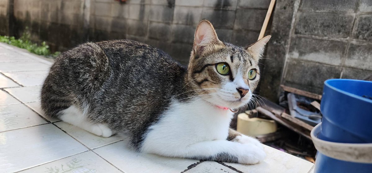 Moverine tweet media