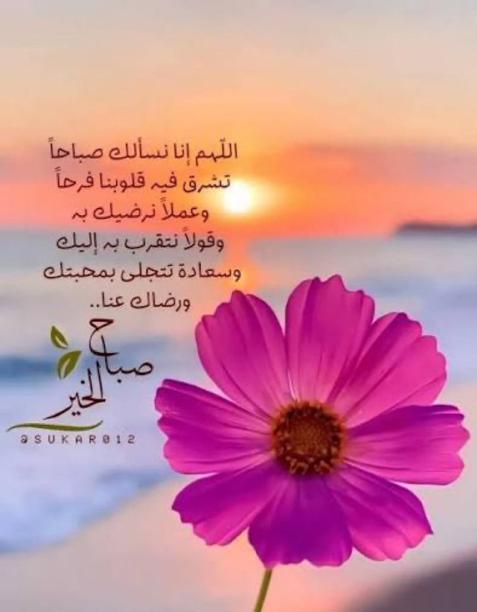 بشرى الشتيوني 🌿. tweet media