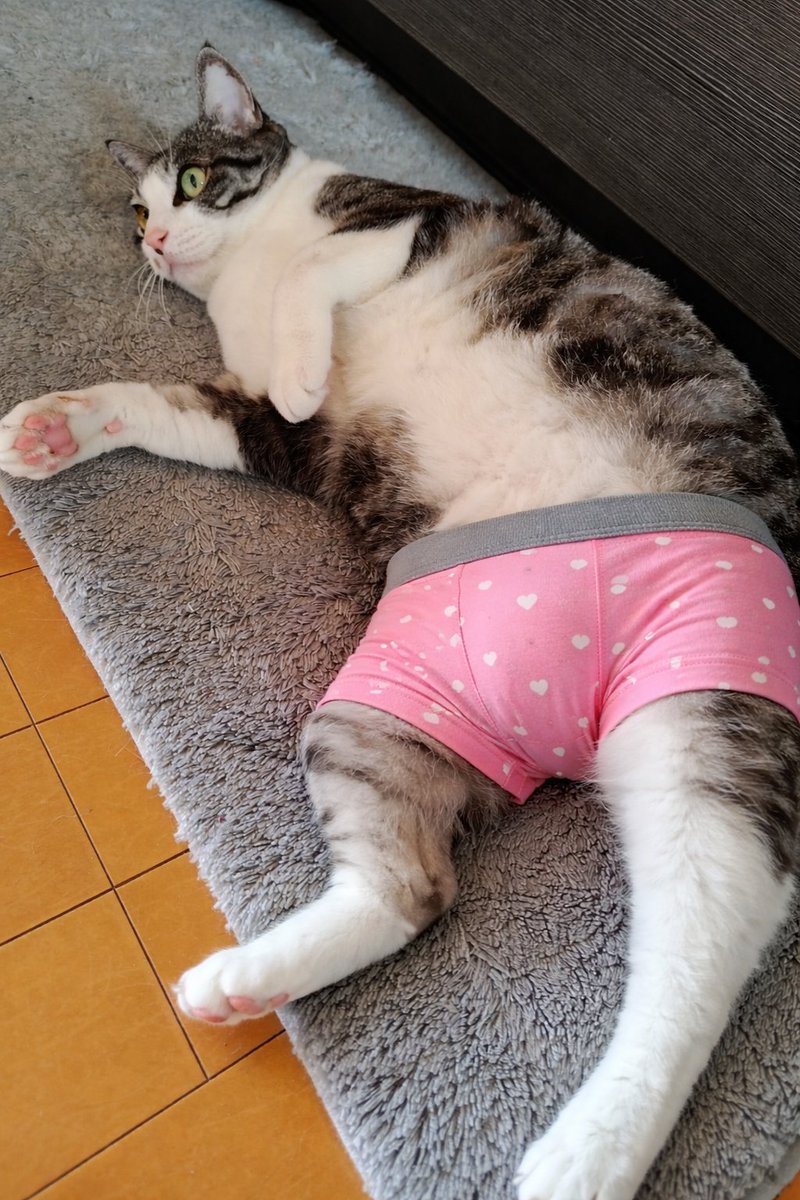 白ご飯をパクっとのりたま😎🫰✨ tweet media