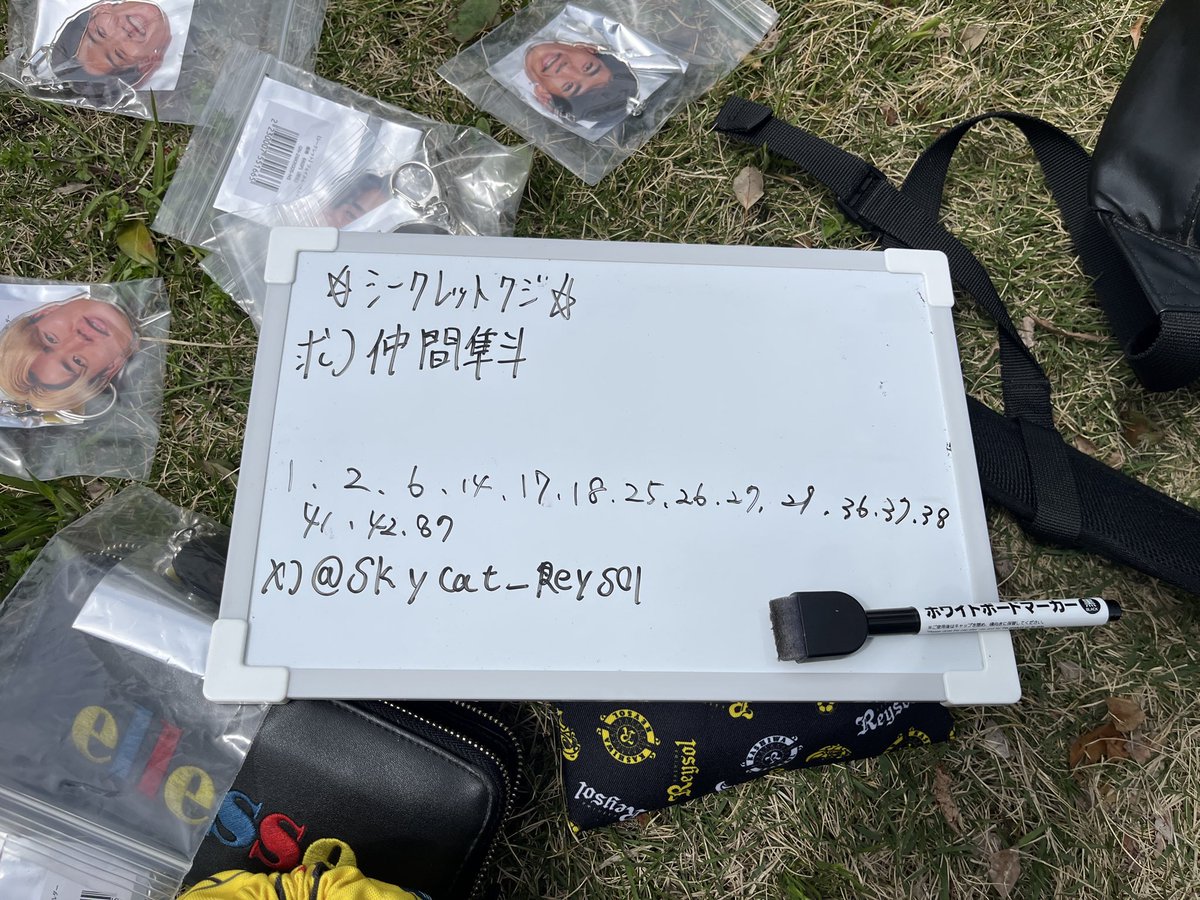 そらねこ？ tweet media