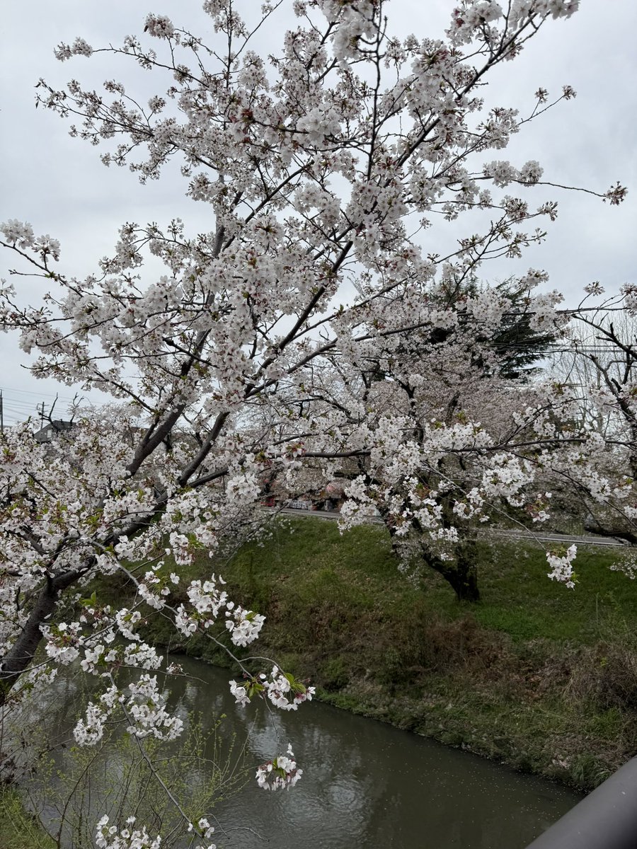 なるべび tweet media