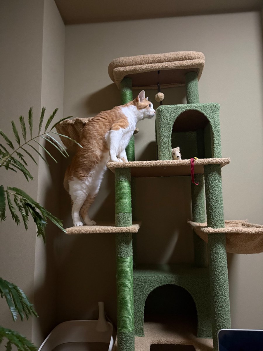 うめたろう tweet media