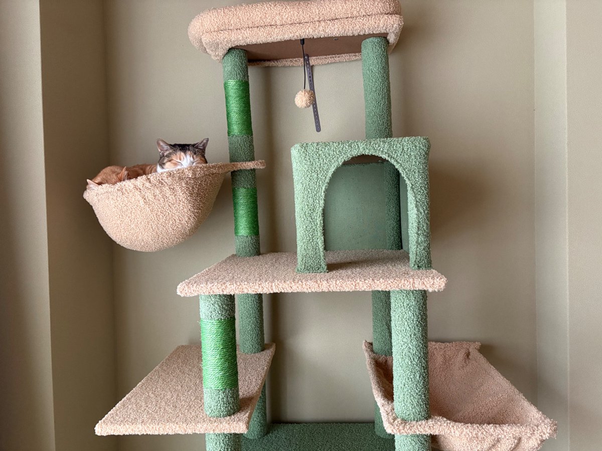 うめたろう tweet media