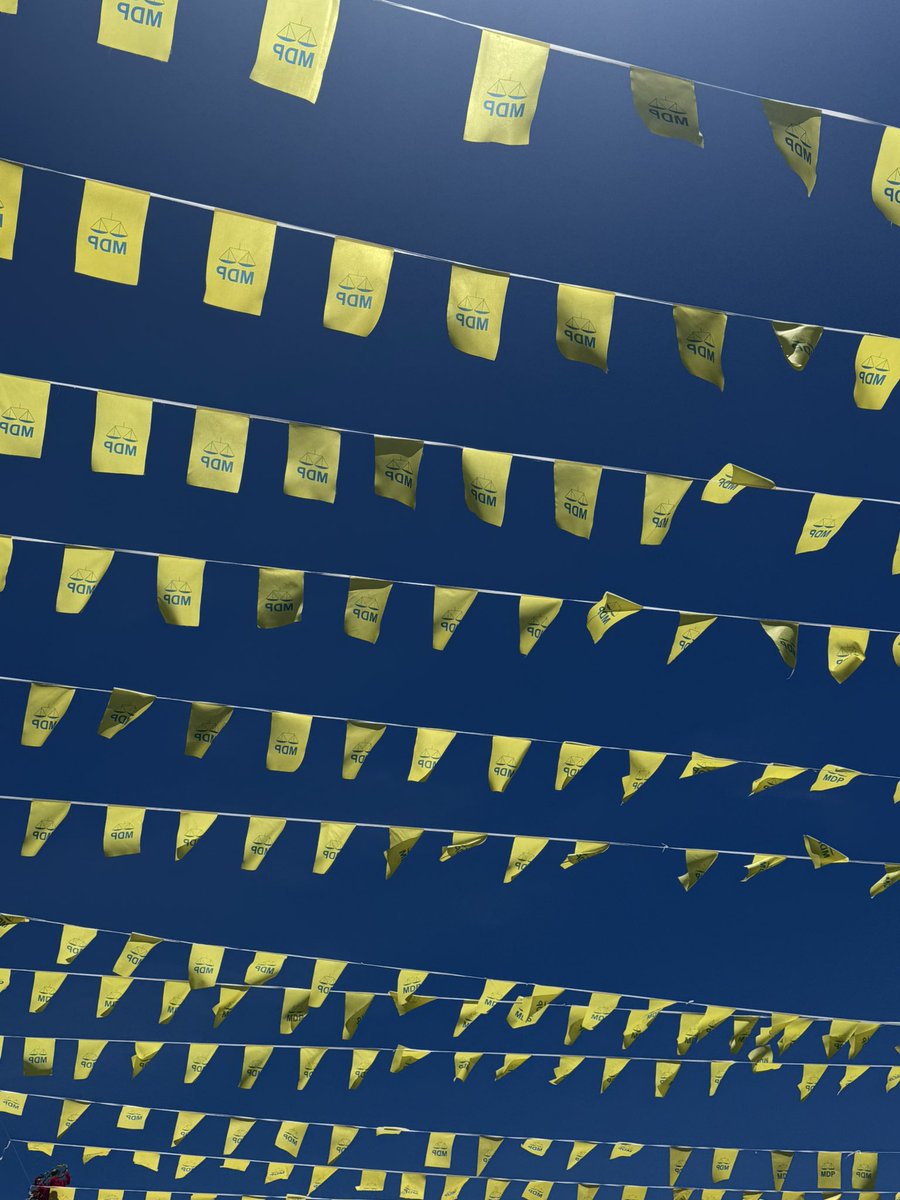 Shauna Aminath 🎈❓ tweet media