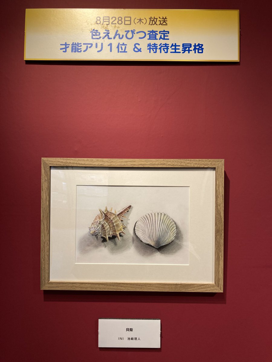 マロン tweet media