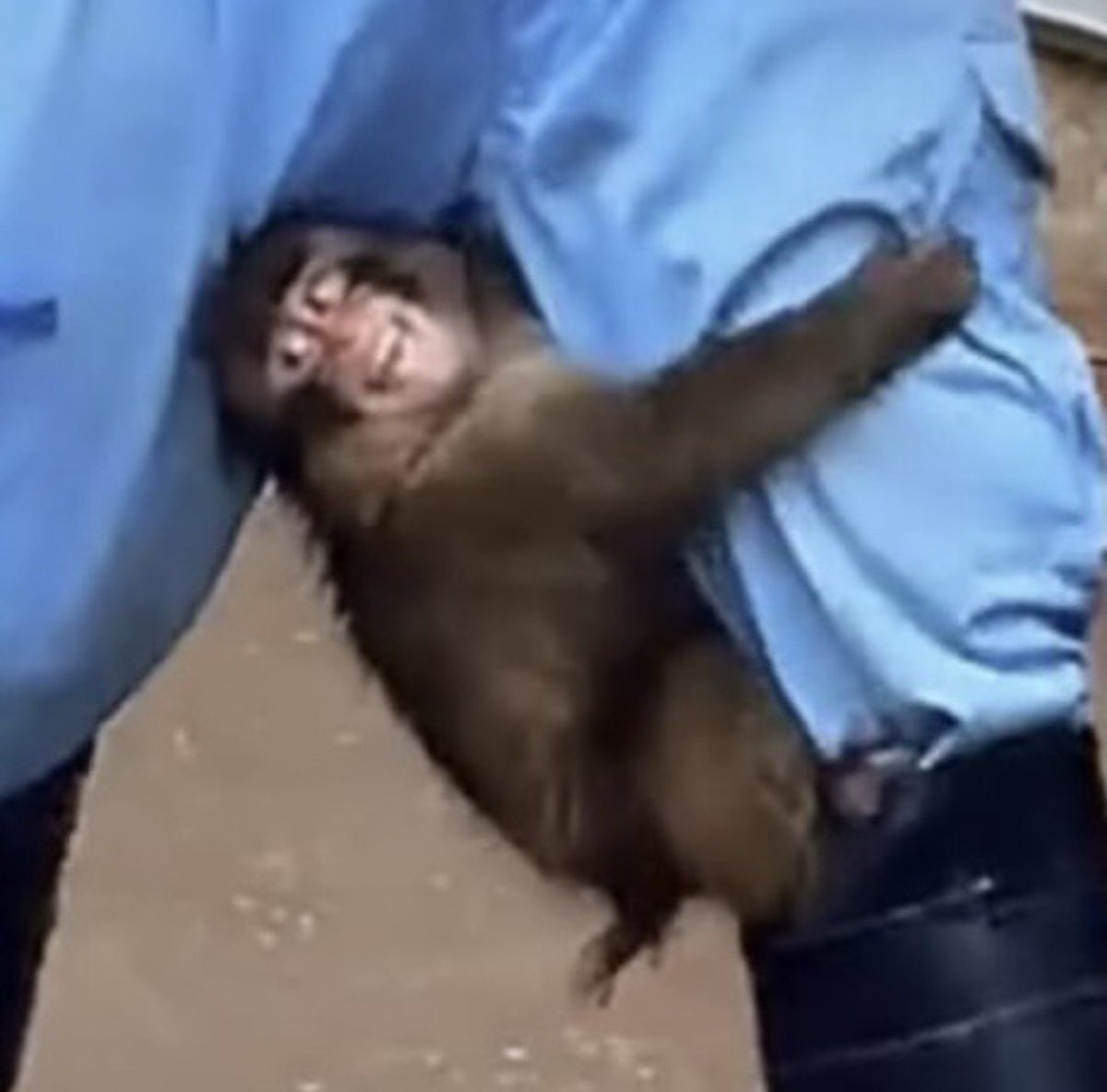 baekhyun_a tweet media