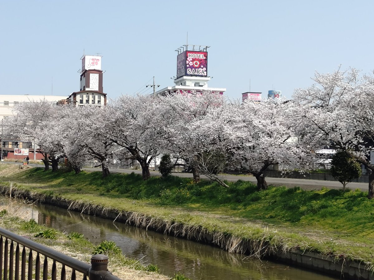 ossanjunchan2's tweet photo. 北海道は、まだまだ寒いですね

風邪ひかないように気をつけないと

#お花見
#出張 https://t.co/3q86GxOvUE
