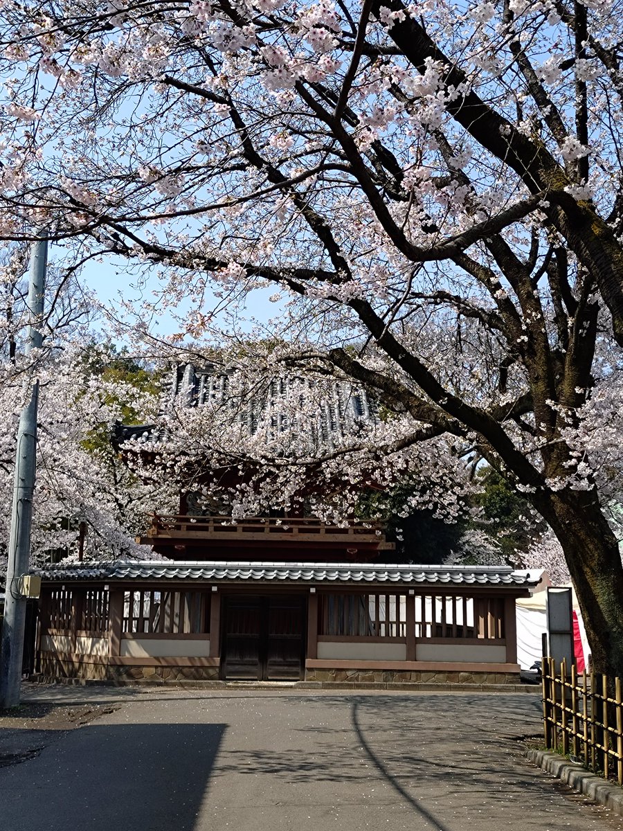 ossanjunchan2's tweet photo. 北海道は、まだまだ寒いですね

風邪ひかないように気をつけないと

#お花見
#出張 https://t.co/3q86GxOvUE