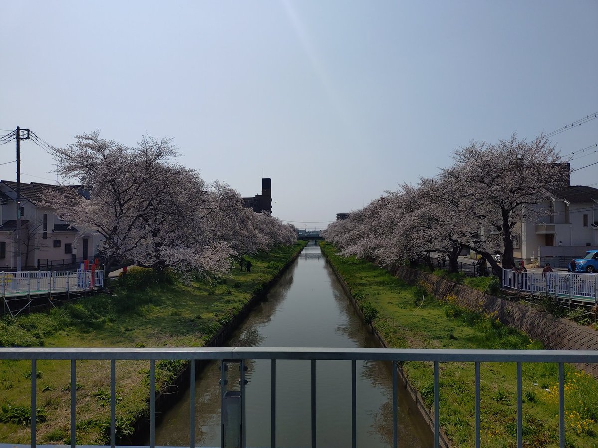 ossanjunchan2's tweet photo. 北海道は、まだまだ寒いですね

風邪ひかないように気をつけないと

#お花見
#出張 https://t.co/3q86GxOvUE
