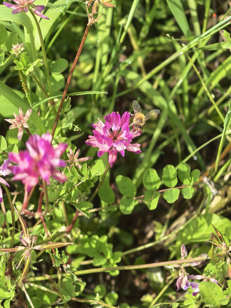 小明同学 tweet media