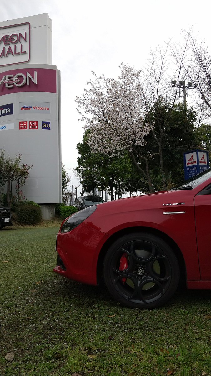 代表さん⊿(ノーポジ暴威) フォローで機密情報 tweet media