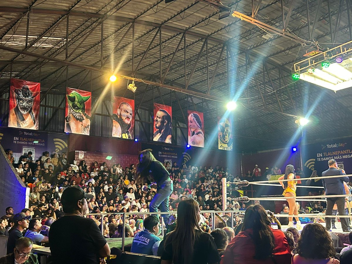 adolfo tapia ibarra tweet media