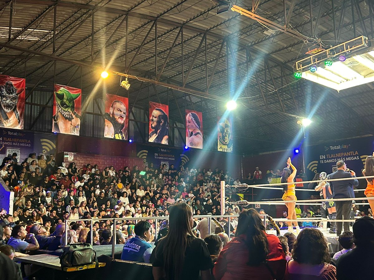 adolfo tapia ibarra tweet media