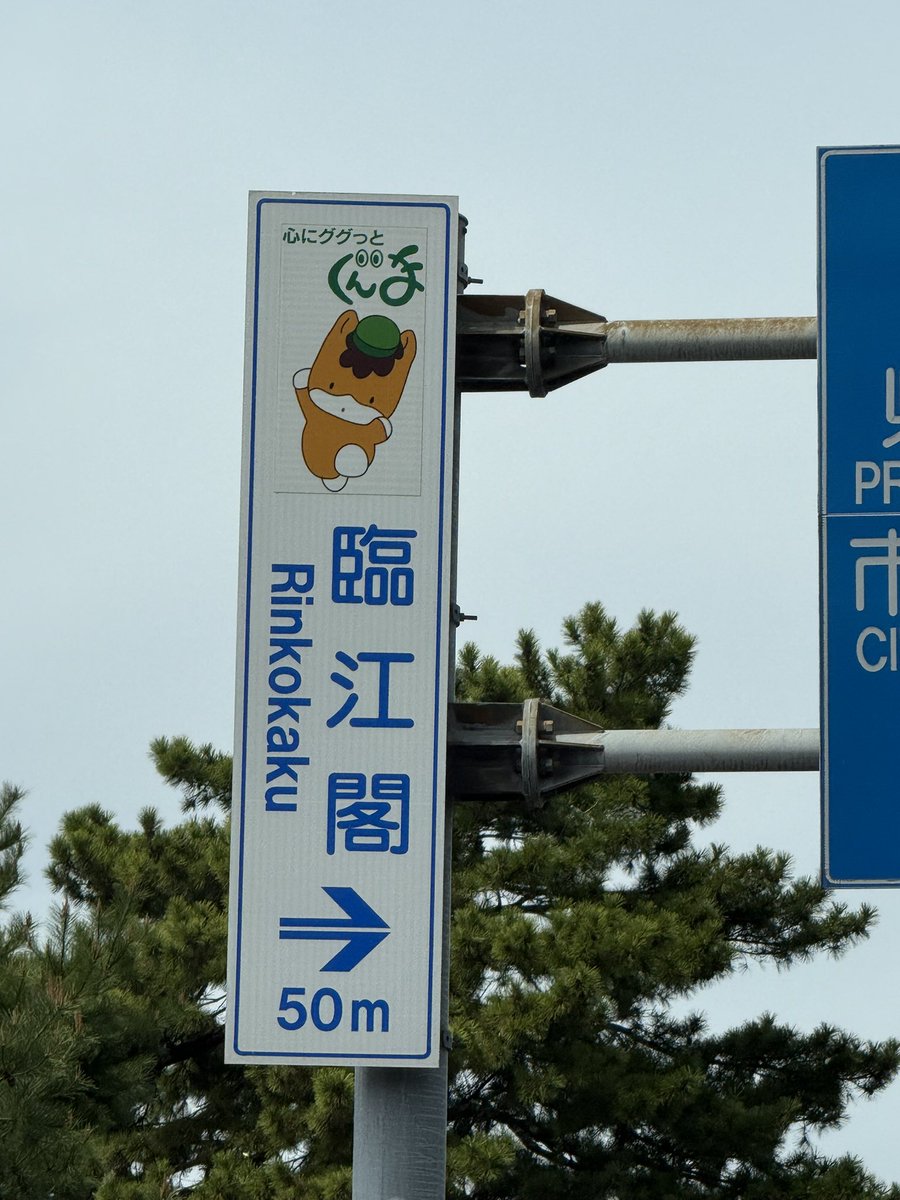 ネロネロさんご tweet media